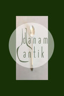 Georg Jensen Sterling Sølv Dronning Istheske No 078