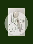 Georg Jensen Kaktus Sterlingsilber Sardinengabel Nr. 262