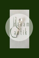 Georg Jensen Sterling Sølv Kaktus Saltske No 176