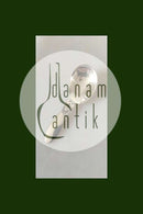 ジョージ ジェンセン スターリングシルバー カクタス シュガースプーン No 171