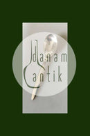 ジョージ ジェンセン スターリングシルバー カクタス ジャムスプーン No 163