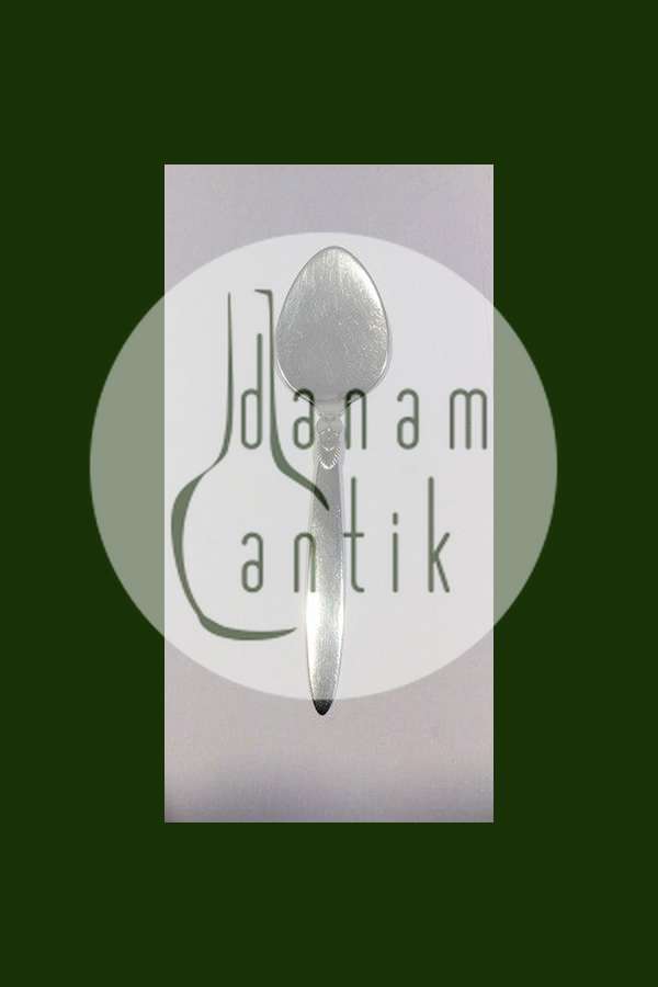 Georg Jensen Kaktus Sterling Sølv Canape servingsspade No 148