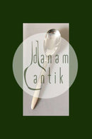 Georg Jensen Sterling Sølv Kaktus Medium Serveringsske No. 113