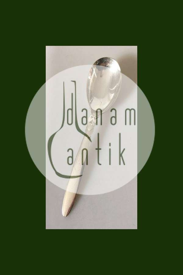 Georg Jensen Sterling Sølv Kaktus Medium Serveringsske No. 113