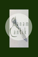 Georg Jensen纯银（钢）仙人掌芥末勺No 106