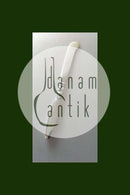 ジョージ ジェンセン スターリングシルバー カクタスバターナイフ No 046