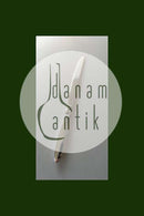 Georg Jensen Sterling Sølv Kaktus Frugtkniv i Helsølv No 13B