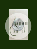 Rörstrand Earthenware East Indies Tea Cup and Saucer