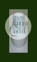 阿斯特里德-埃沃洛夫的Rørstrand新艺术风格独特花瓶