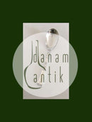 "Rigsmønstret" P.C.L. Frigast 银色和不锈钢材质的服务匙