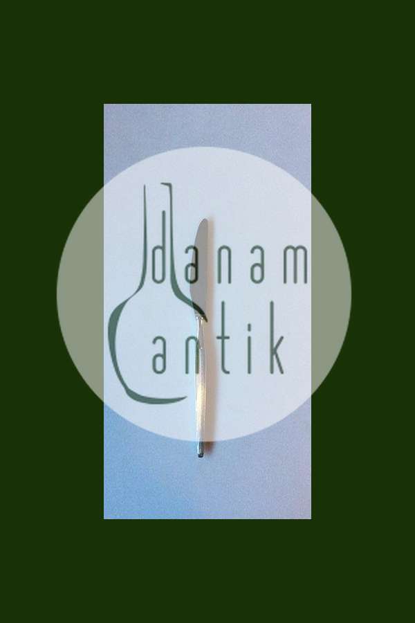 "Savoy" Frigast/Gense, Sølv Spisekniv