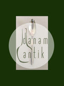 来自W & S Sørensen的Karina银质甜点勺子