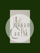 Evald Nielsen No 29 Sølv Dessertske