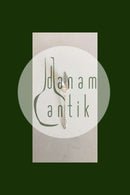 Evald Nielsen Sølv No 12 Grapefrugtske