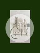 汉斯-汉森银色18号套装共80件