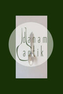 H.C.安徒生童话银色勺子。猪仔