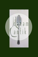 Orchidee Silber Dessertlöffel Horsens Silversmith