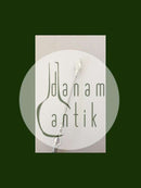 P. Hertz Sølv Apostle Ske fra 1895