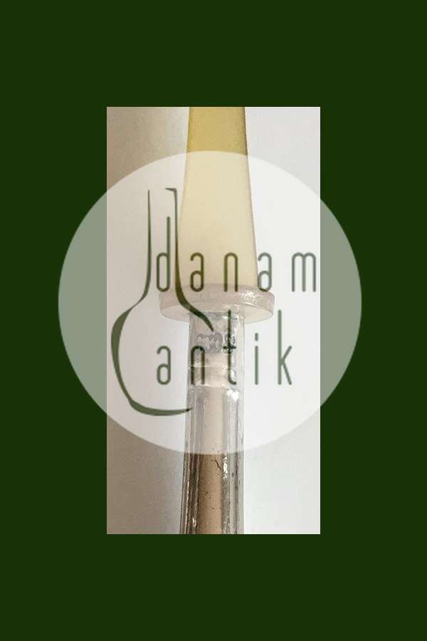 Lille serveringsske i Sølv med blad af horn