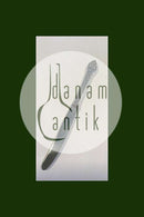 Evald Nielsen No. 2 Frugtkniv / Barnekniv i Sterling Sølv og Rustfrit Stål