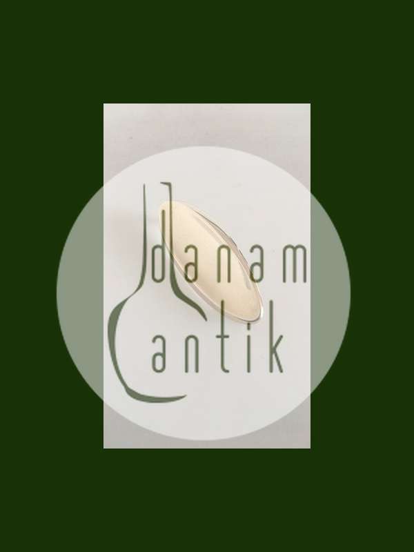 Hans Hansen 14K Guld Broche No 102