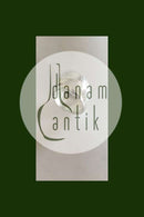 Napkin Ring in Silver