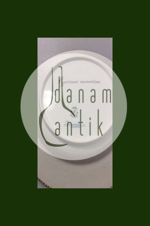 Royal Copenhagen Flora Danica Fisketallerken No 19/3549