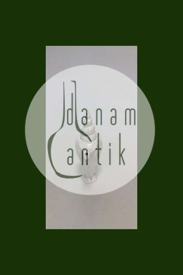 Royal Copenhagen Rosa Konkylie Flødekande No 14175