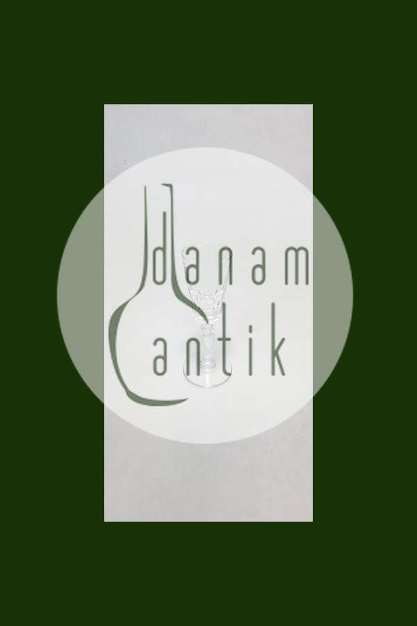 Val St. Lambert Faraday Snapseglas