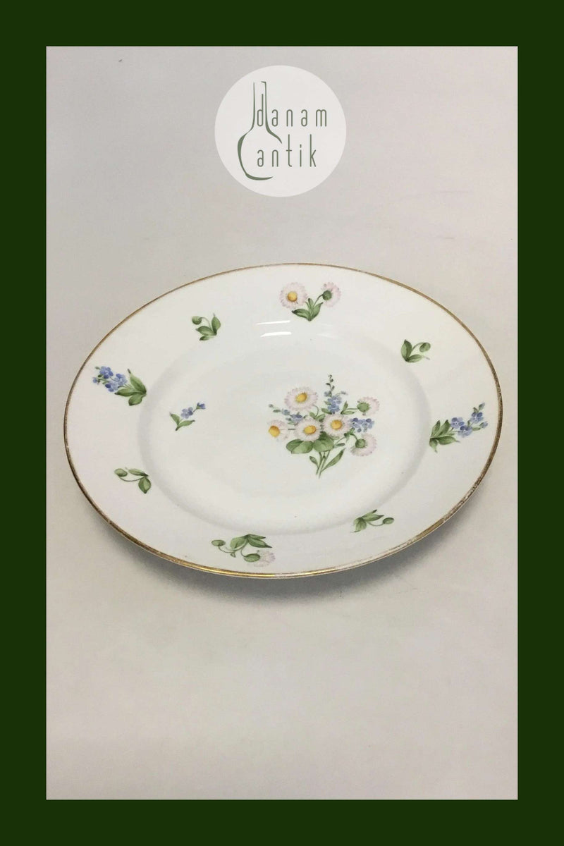 Royal Copenhagen Bellis og Følfod Spisetallerken No 9051