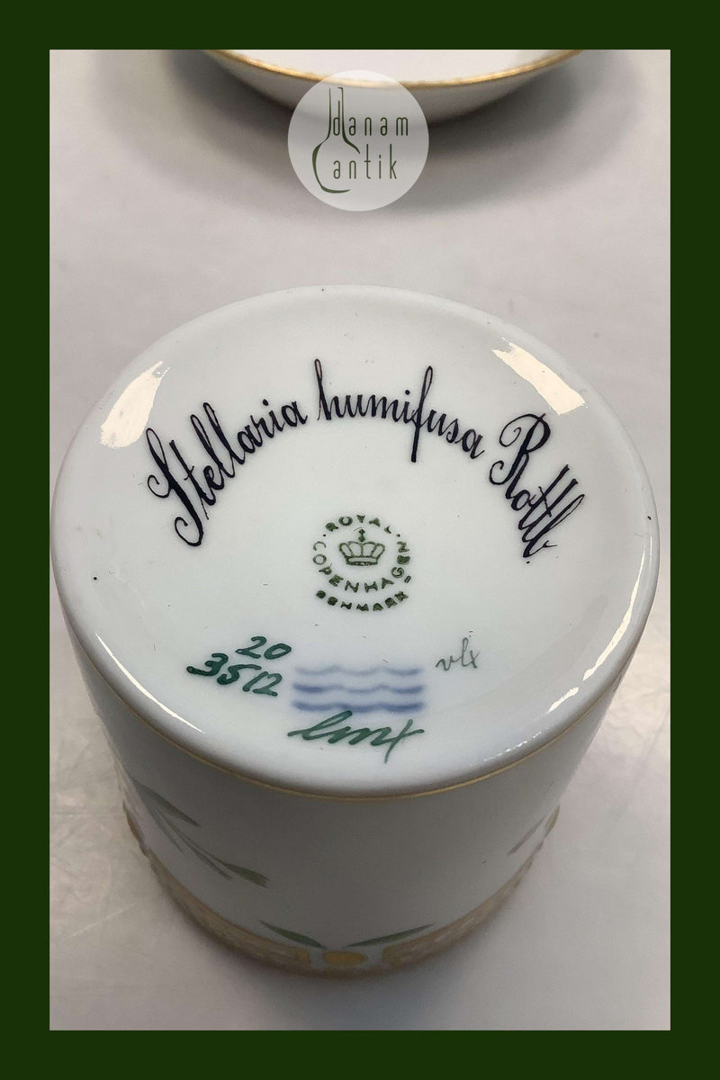 Royal Copenhagen Flora Danica Chokoladekop No 20/3512