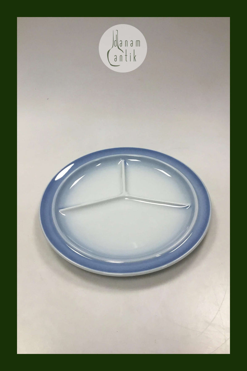 Bing and Grondahl Blue Tone Hotel Grill or Fondue Plate No 730