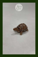 Wade Porcelæn Skildpadde lågskål England