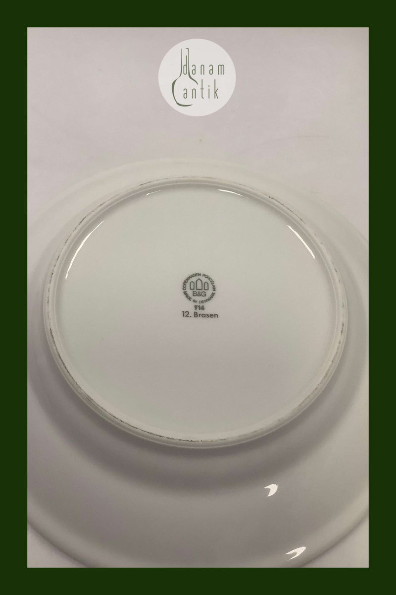 Bing and Grondahl Blue Tone Fish Plate Motif 12 Bream No. 716