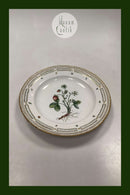 Royal Copenhagen Privat gemalt Flora Danica Essteller Nr 3549