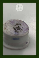 Royal Copenhagen Art Nouveau Blækhus til Frø og Slange Blækhus bakke No 19