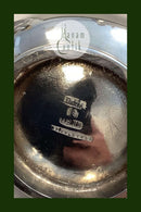 Sølvplet Sovsekande England