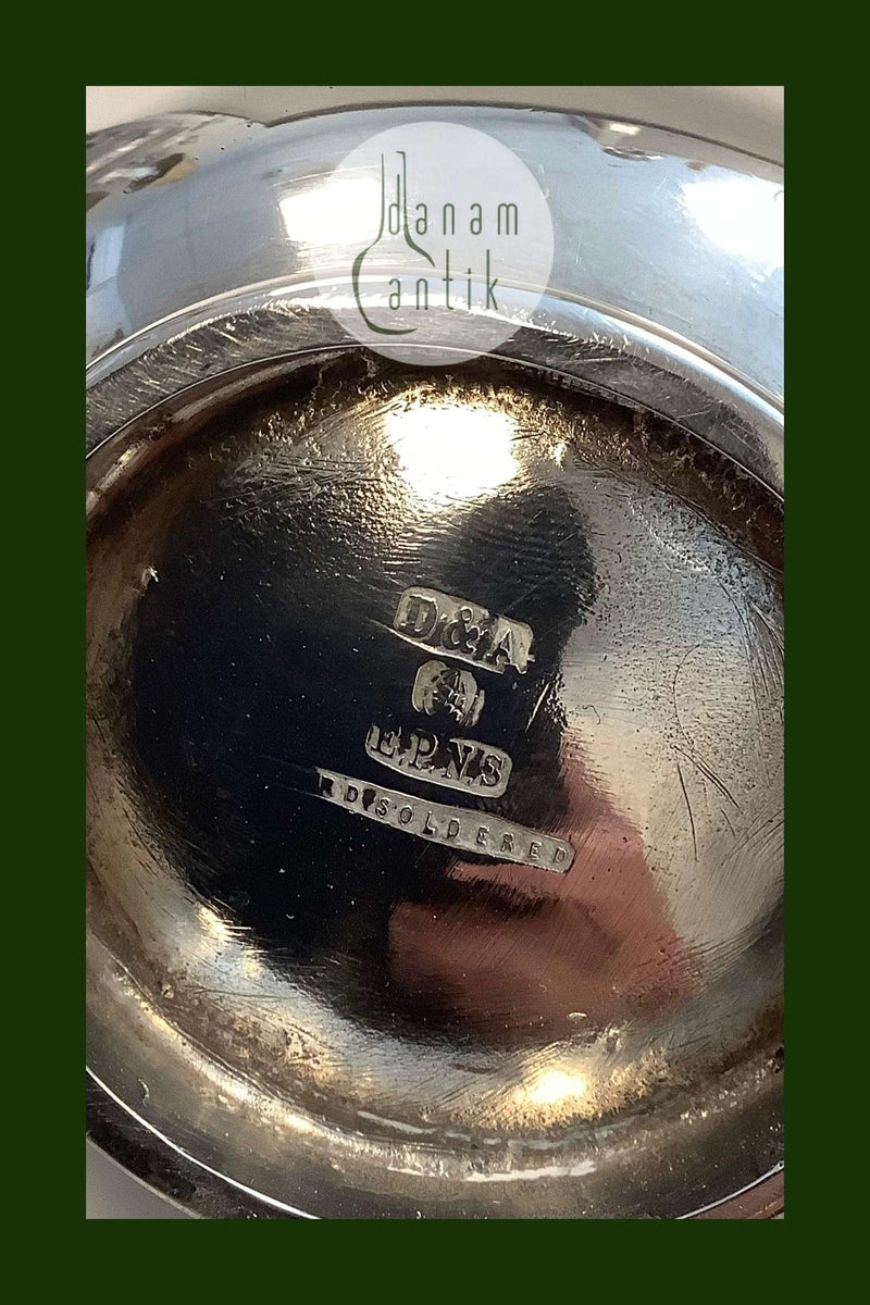 Sølvplet Sovsekande England