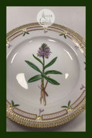 Royal Copenhagen Flora Danica Spisetallerken No. 624 (20/3549)