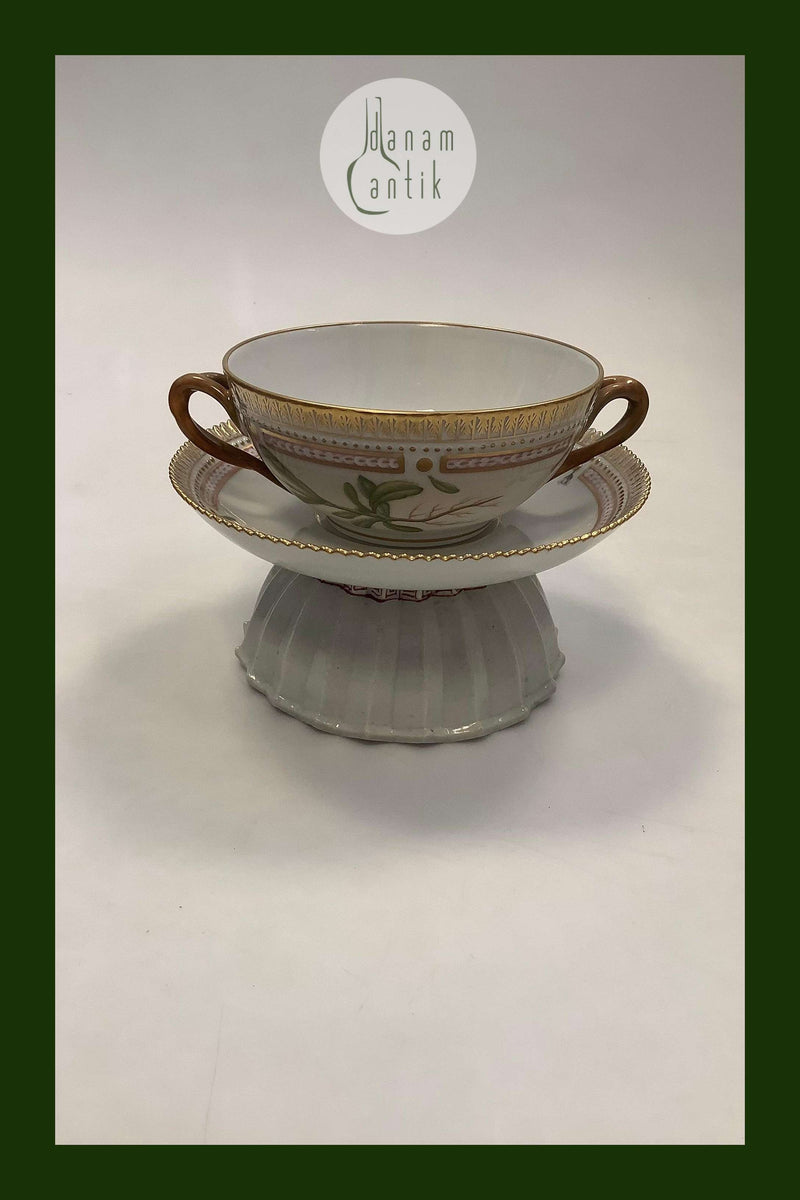 Royal Copenhagen Flora Danica Bouillon Kop med underskål No 20/3612