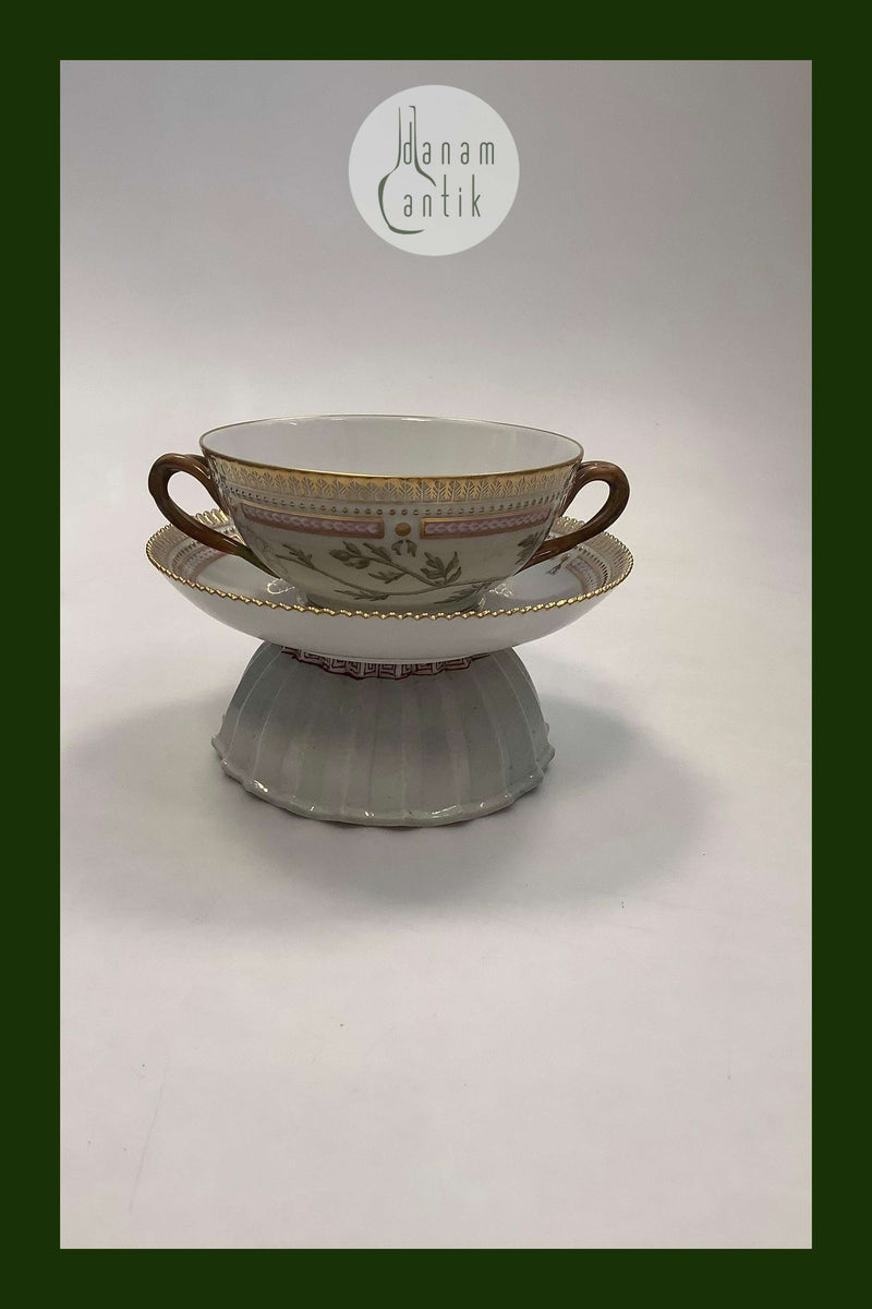 Royal Copenhagen Flora Danica Bouillon Kop med underskål No 20/3612