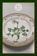 Royal Copenhagen Flora Danica Spisetallerken No. 624 ( 20 / 3549 )