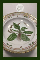 Royal Copenhagen Flora Danica Dyb Tallerken No 20/3546 eller 604
