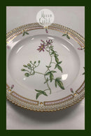 Royal Copenhagen Flora Danica Salat Tallerken No 20 / 3573h)