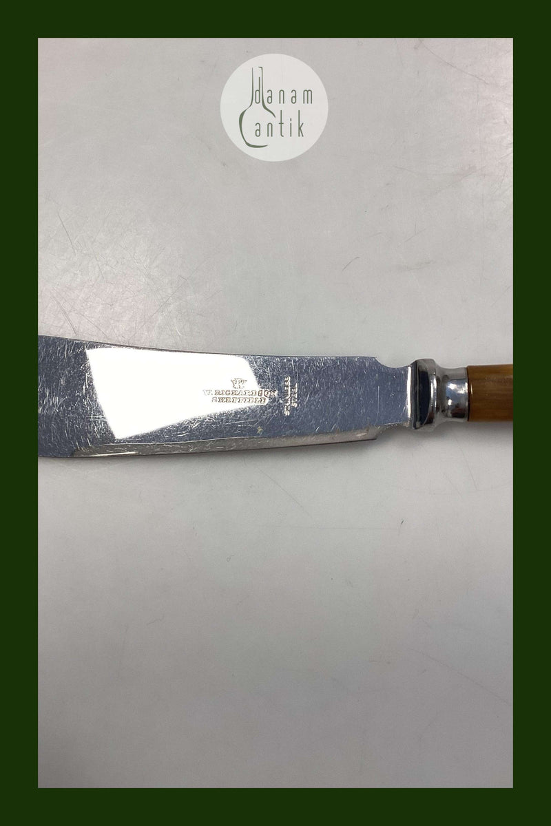 W. Richardson Sheffield Stainless Kagekniv