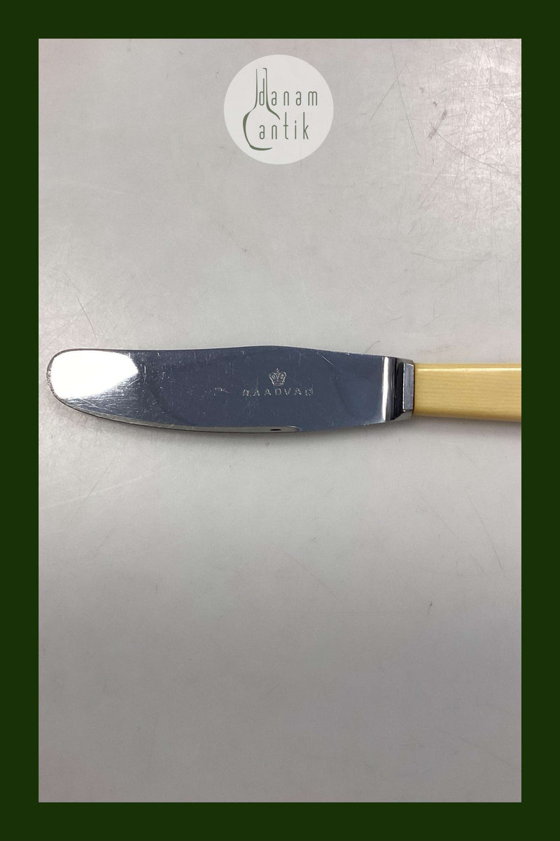 Raadvad Rustfri Spisekniv - 21 cm