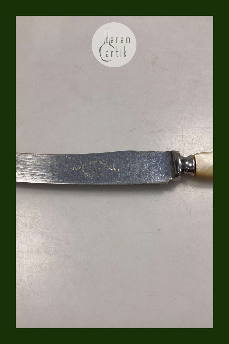Raadvad Rustfri Spisekniv - 23,2 cm