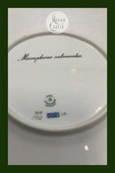 Royal Copenhagen Grøn Fisketallerken No 919/1710 med Micropterus salmonides