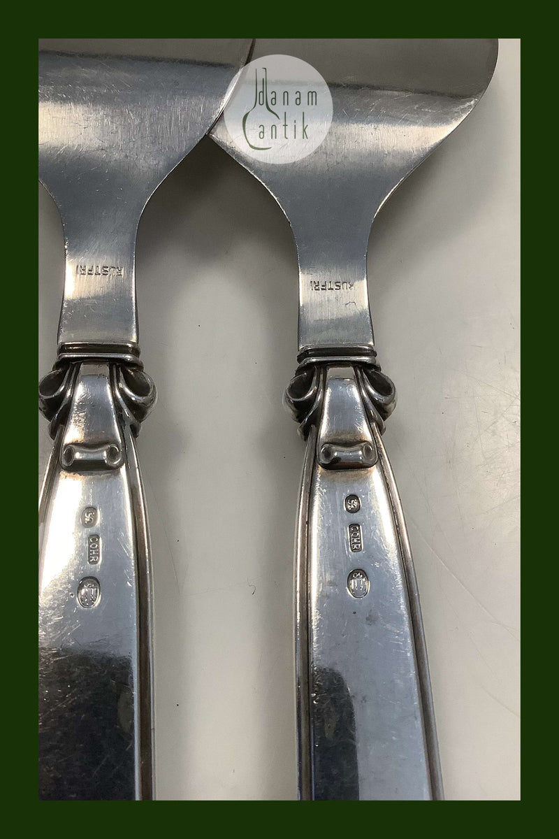 Cohr Fiske Serveringsbestik i Sølv / Stål