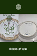 Royal Copenhagen Flora Danica tallerken med gennembrudt kant No 20/3553 / 637